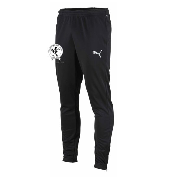 Team Rise Training Pant - SNR + JNR