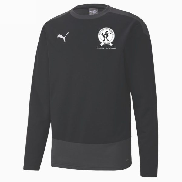 PUMA TEAM GOAL Sweat